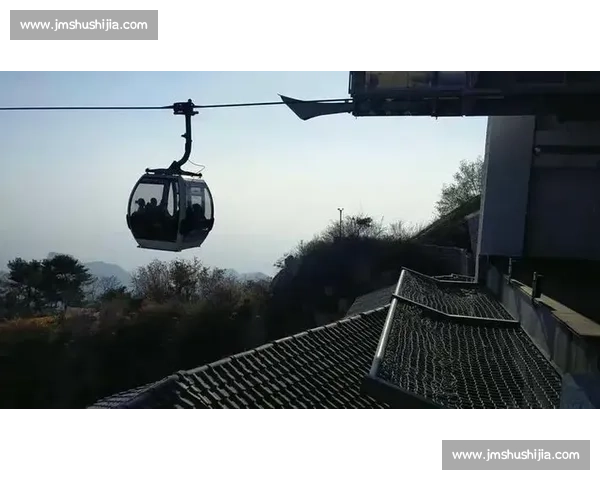 泰山困局：双线迷失下的重建之惑